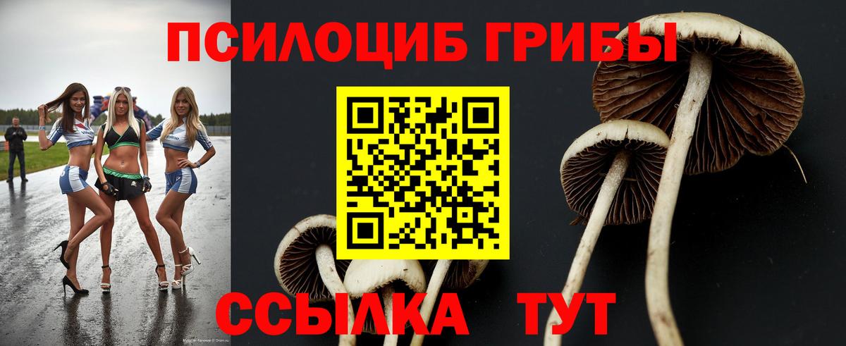 Галлюциногенные грибы прущие грибы  Вход с VPN  Вичуга 